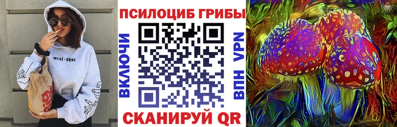 Галлюциногенные грибы Psilocybe закладки Норильск